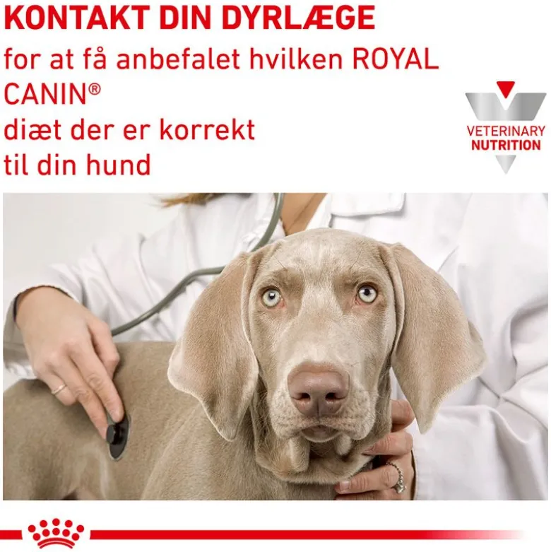 Royal Canin Veterinary Canine Urinary S/O Ageing 7+ Mousse