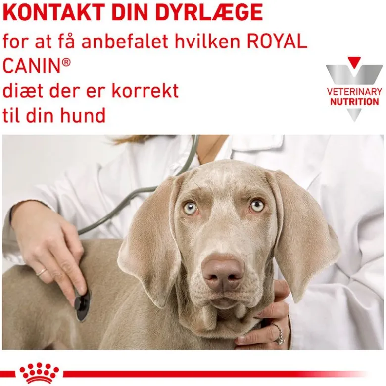 Royal Canin Veterinary Canine Urinary S/O Mousse