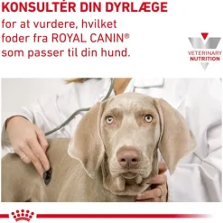 Royal Canin Veterinary Canine Early Renal i sauce