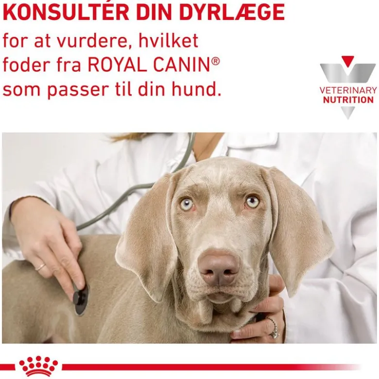 Royal Canin Veterinary Canine Early Renal i sauce