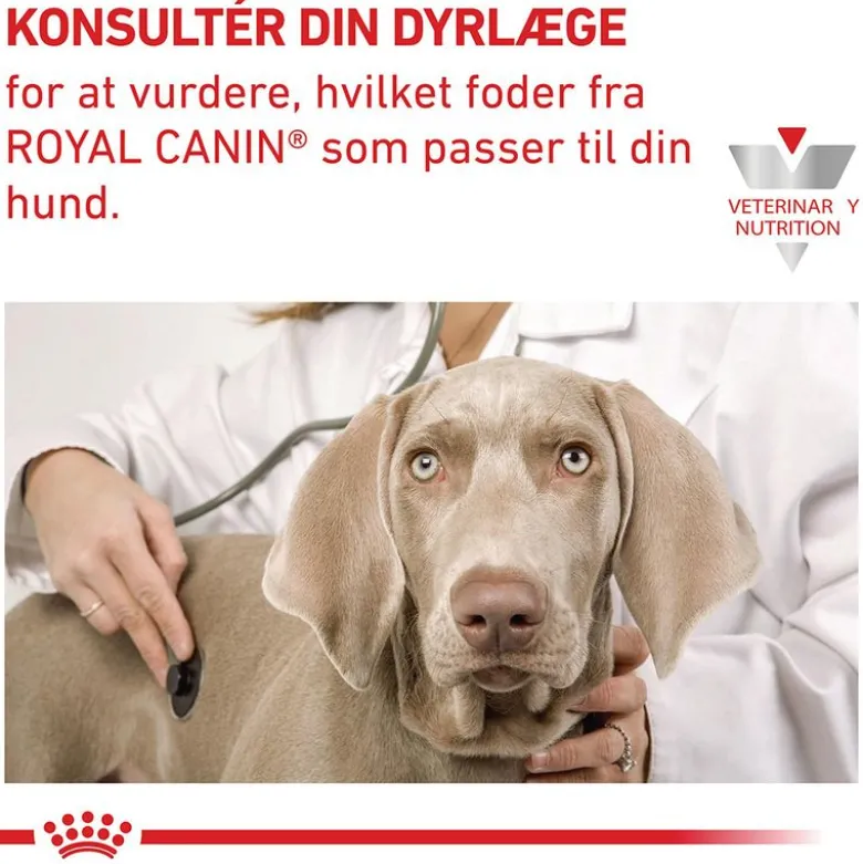 Royal Canin Veterinary Canine Cardiac Mousse