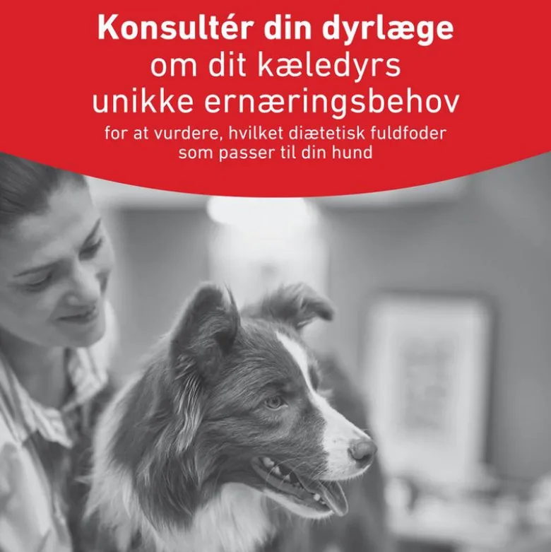 Royal Canin Veterinary Canine Glycobalance Mousse