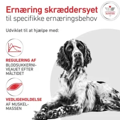 Royal Canin Veterinary Canine Glycobalance Mousse