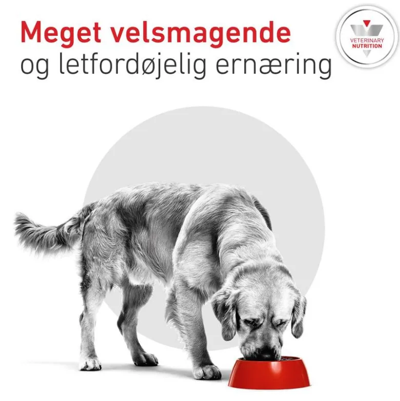 Royal Canin Veterinary Canine Glycobalance Mousse