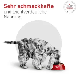 Royal Canin Veterinary Canine Glycobalance Small Dog