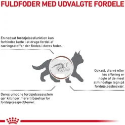 Royal Canin Veterinary Feline Gastrointestinal Kitten