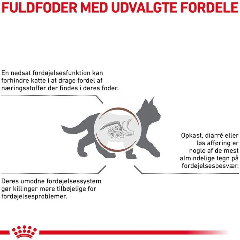 Royal Canin Veterinary Feline Gastrointestinal Kitten