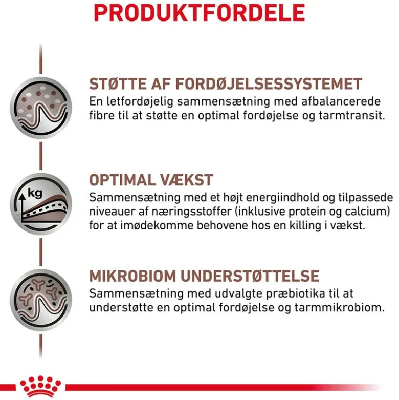 Royal Canin Veterinary Feline Gastrointestinal Kitten