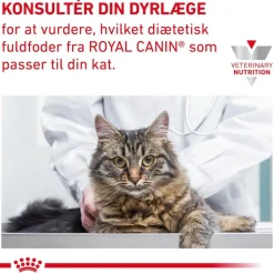 Royal Canin Veterinary Feline Gastrointestinal
