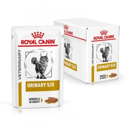 Royal Canin Veterinary Feline Urinary S/O i sauce eller mousse