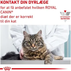 Royal Canin Veterinary Feline Urinary S/O i sauce eller mousse