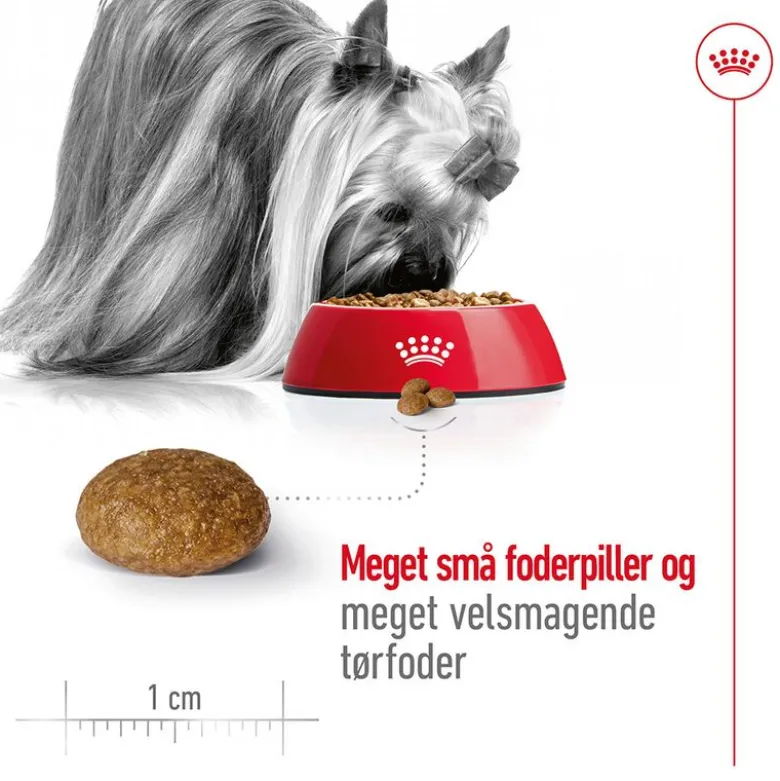 Royal Canin X-Small Adult 8 +