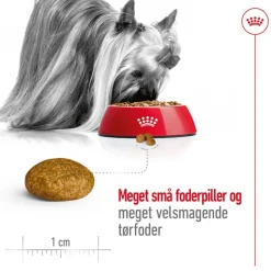 Royal Canin X-Small Adult