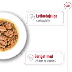 Royal Canin X-Small Adult in Soße