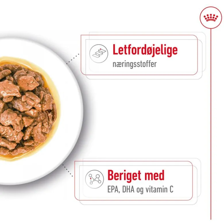 Royal Canin X-Small Adult in Soße