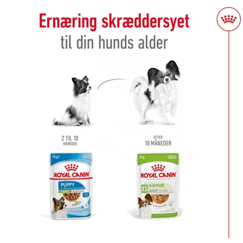 Royal Canin X-Small Adult in Soße