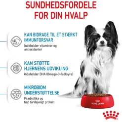 Royal Canin X-Small Puppy