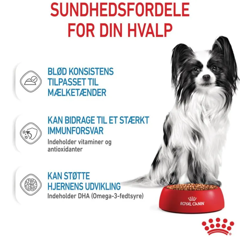 Royal Canin X-Small Puppy i sauce