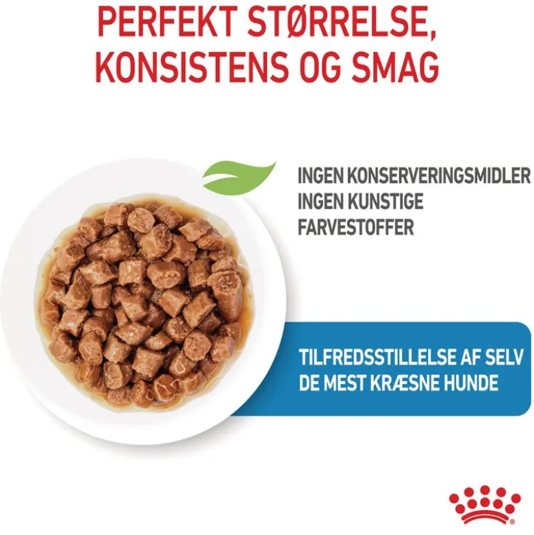 Royal Canin X-Small Puppy i sauce