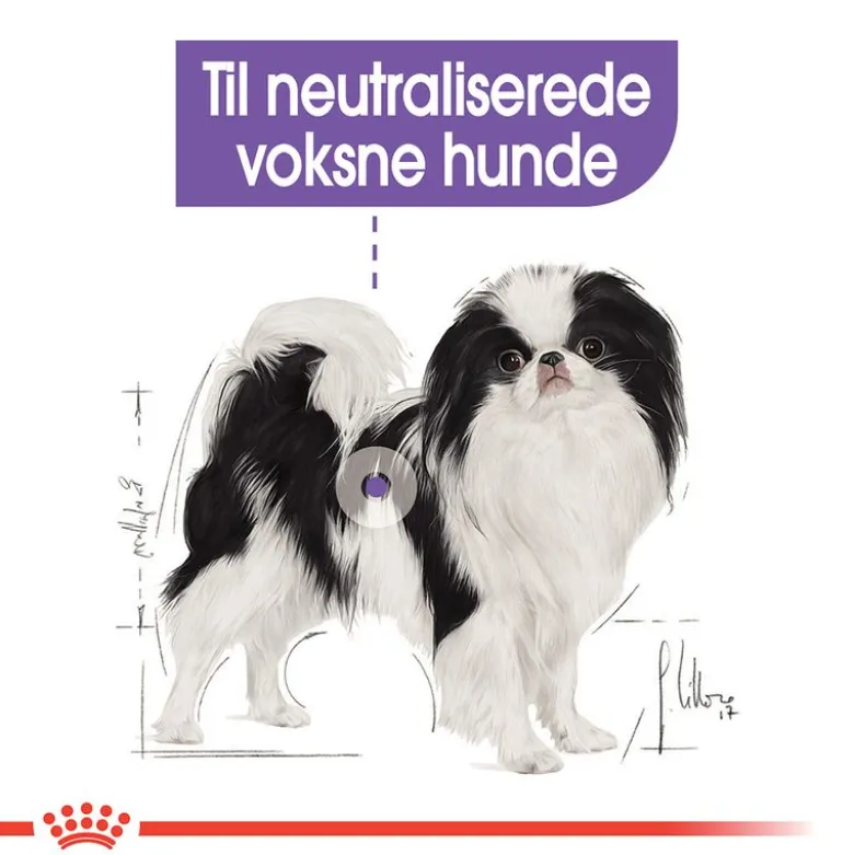 Royal Canin X-Small Sterilised
