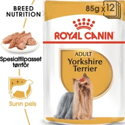 Royal Canin Yorkshire Terrier Adult Mousse