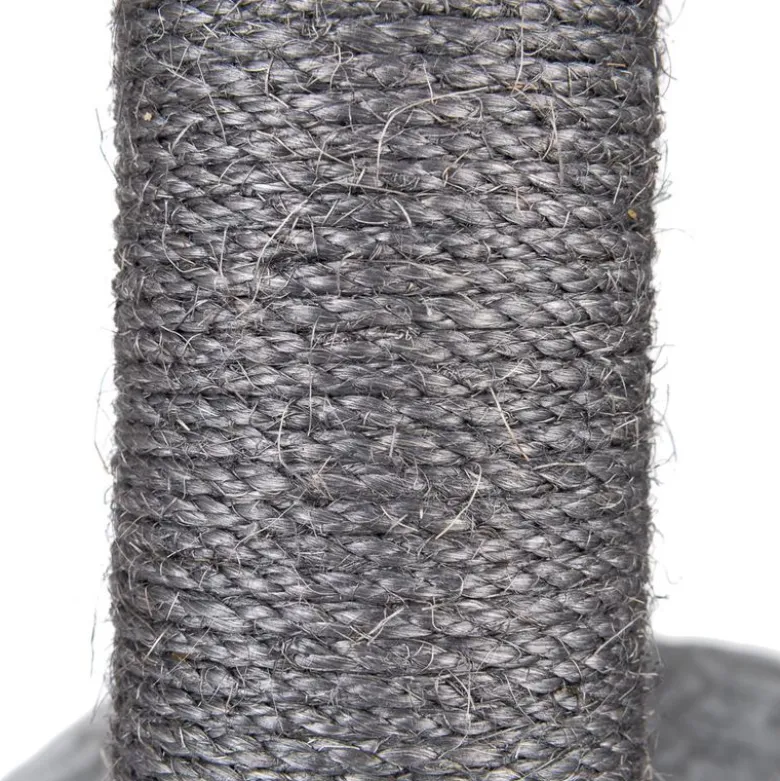 Royal Silver Kradsetræ