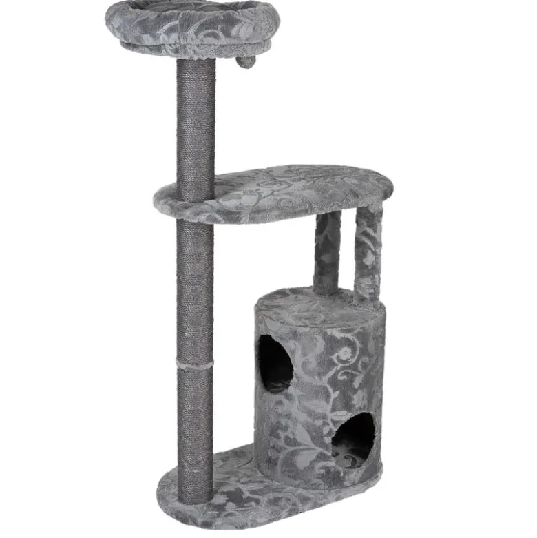Royal Silver Kradsetræ