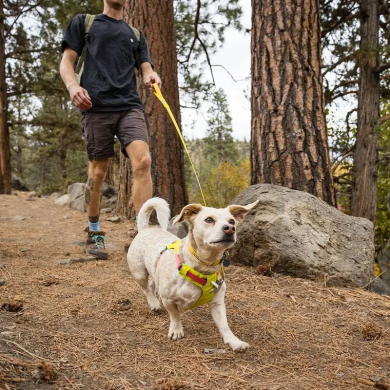 RUFFWEAR Flagline snor