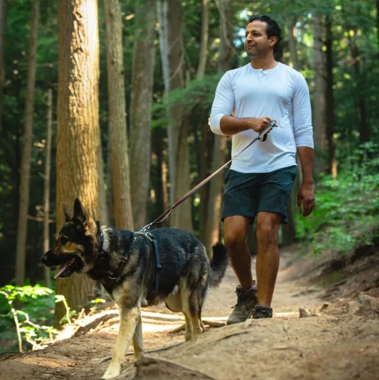 Ruffwear Front Range hundesele, Moonlight Mountains