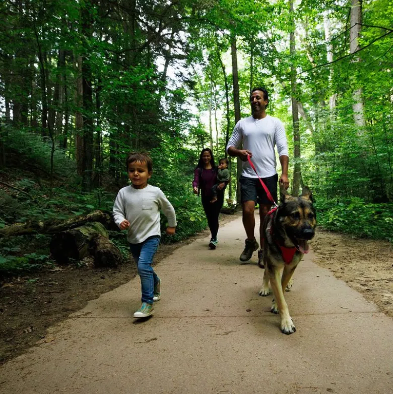 Ruffwear Front Range hundesele, red canyon