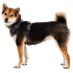 Ruffwear Front Range hundesele, Basalt Gray