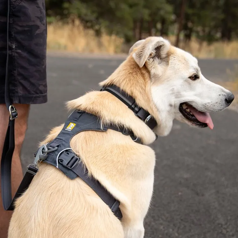 Ruffwear Front Range hundesele, Basalt Gray
