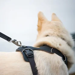 Ruffwear Front Range hundesele, Basalt Gray