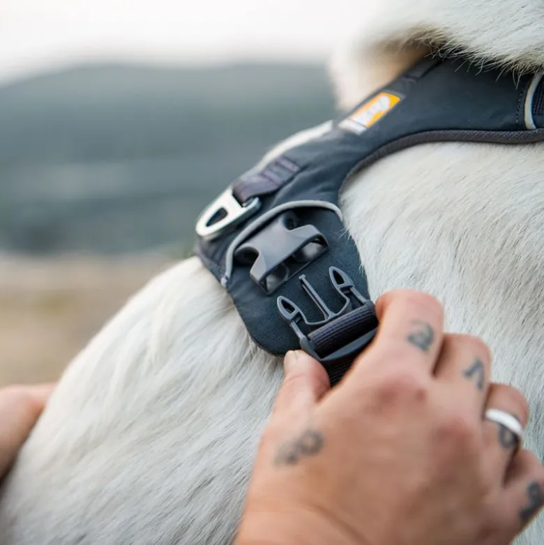 Ruffwear Front Range hundesele, Basalt Gray