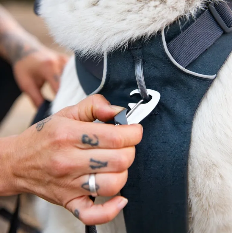 Ruffwear Front Range hundesele, Basalt Gray