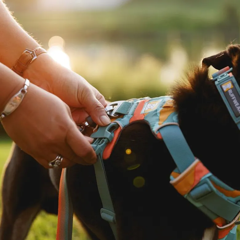 Ruffwear Front Range Hundesele, Spring Mountains