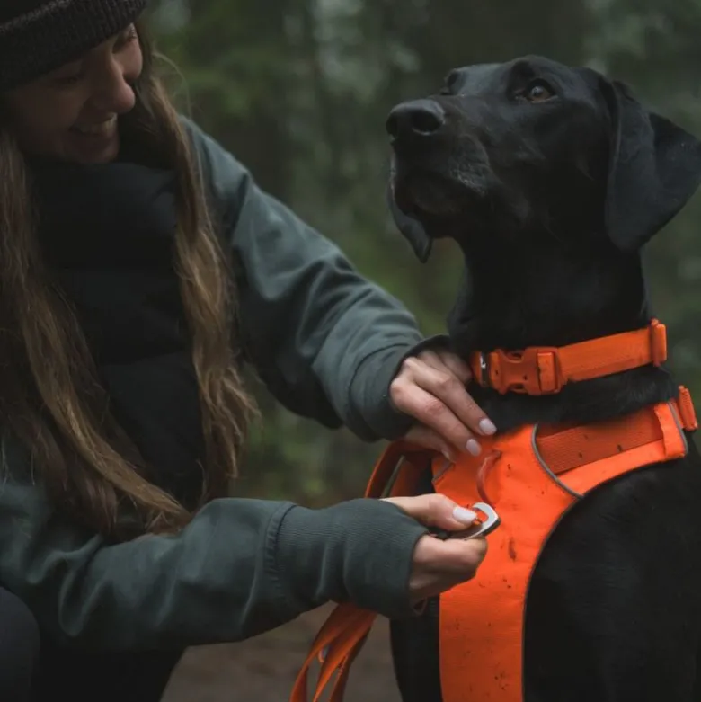 Ruffwear Front Range hundesnor, Blaze Orange