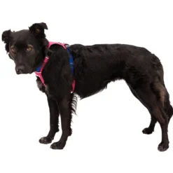 Ruffwear Hi & Light hundesele, Alpen Glow Pink