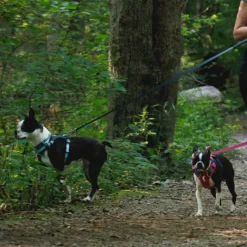 Ruffwear Hi & Light hundesele, basaltgrå