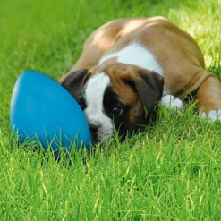 RunninGegg