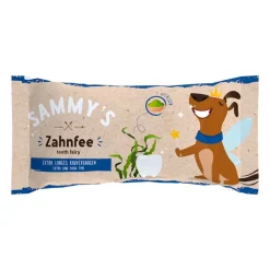 Sammy's Tooth Fairy