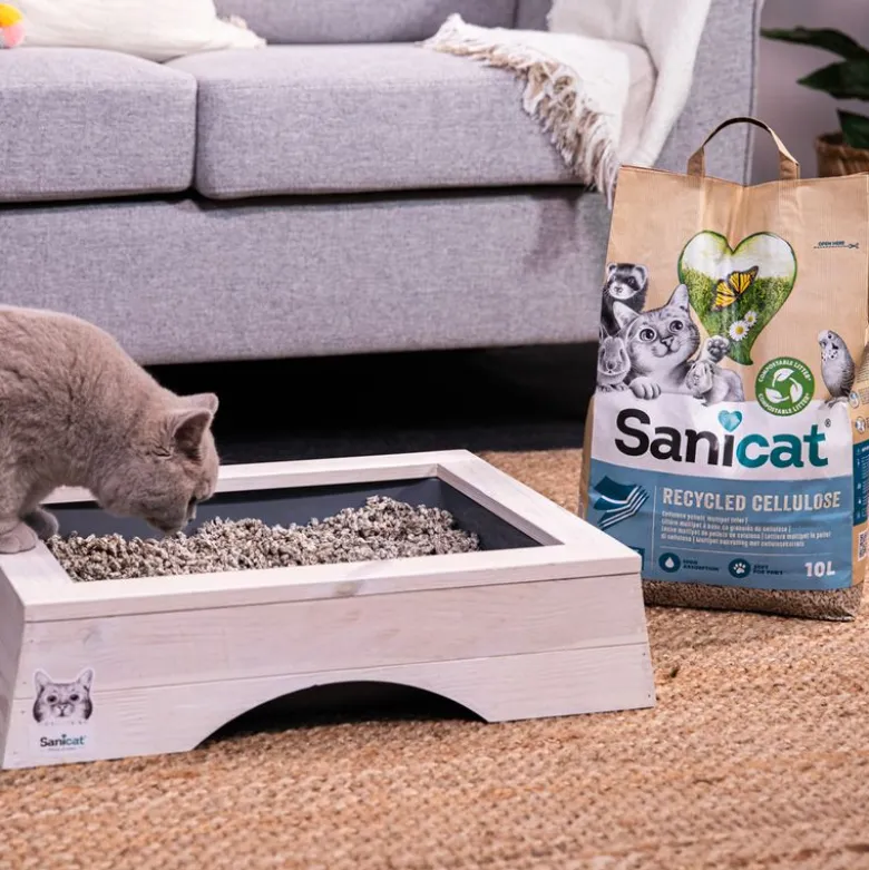 Sanicat Cellulose