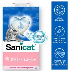 Sanicat Kitten
