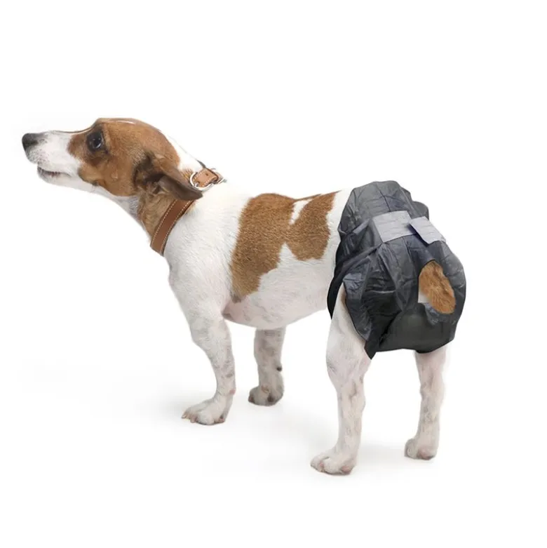 Savic Comfort Nappy hundeble