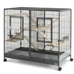 Savic gnaverbur Tasmania 120