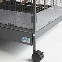 Savic gnaverbur Tasmania 120