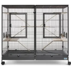 Savic gnaverbur Tasmania 120