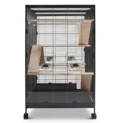 Savic gnaverbur Tasmania 120
