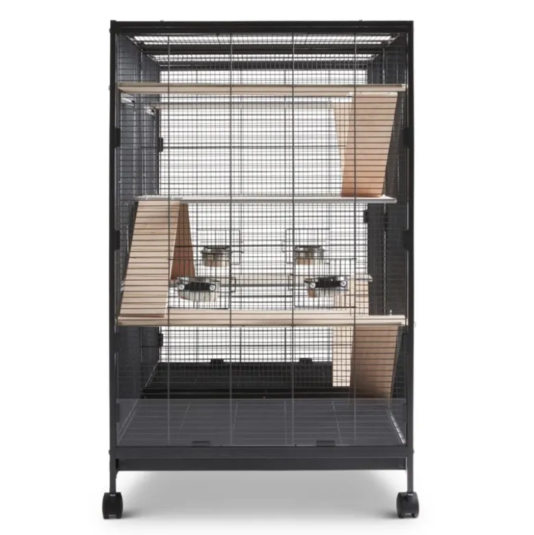 Savic gnaverbur Tasmania 120