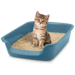 Savic Katte- og Hundetoilet Junior